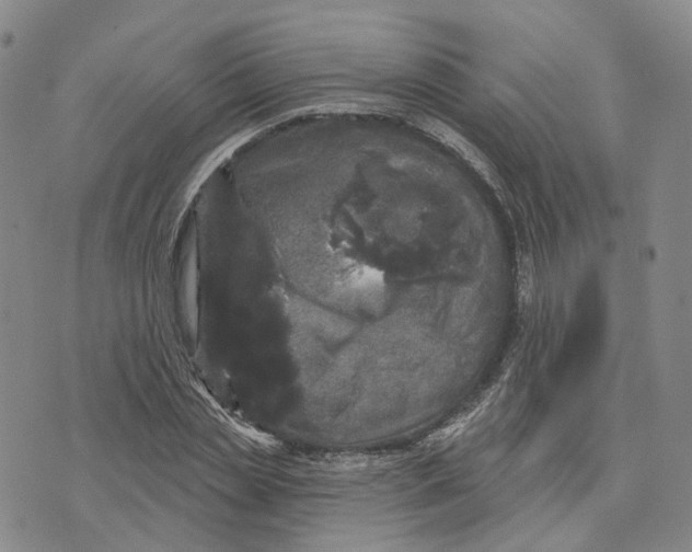 X0000070340829200606301738