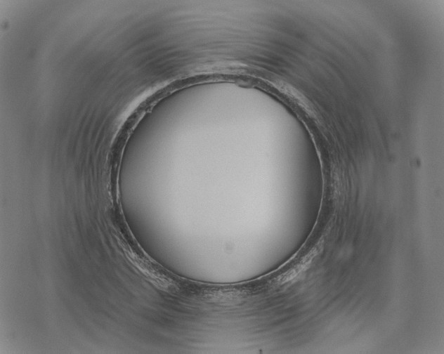 X0000070340830200606301738