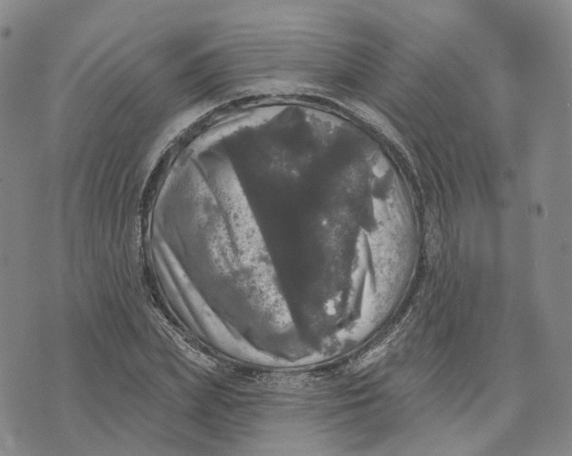 X0000070340831200606301738