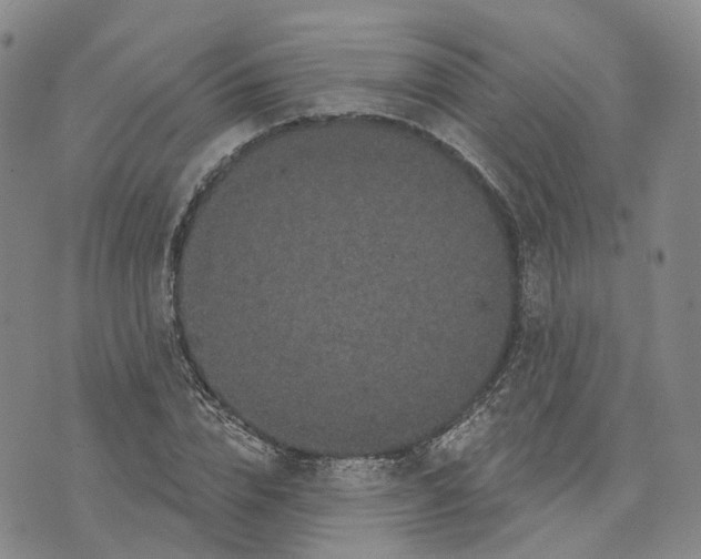 X0000070340832200606301738