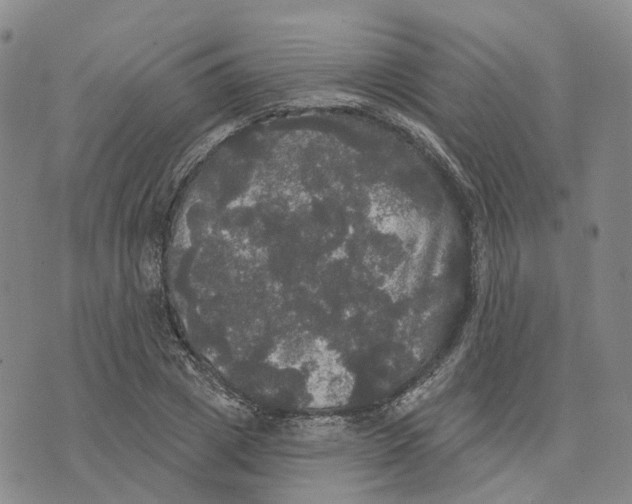 X0000070340833200606301738