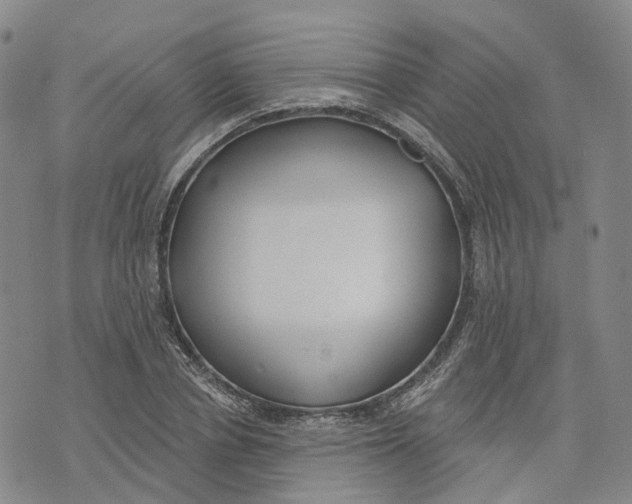 X0000070340834200606301738