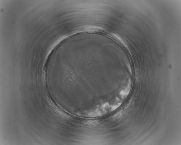 X0000070340835200606301739