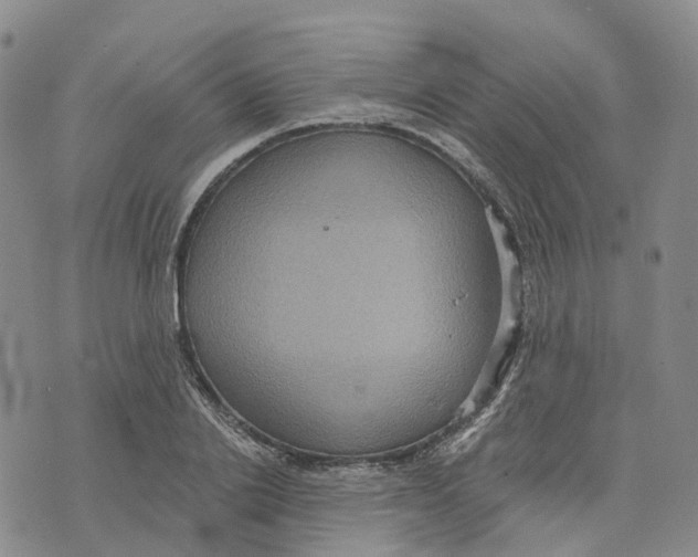 X0000070340838200606301739