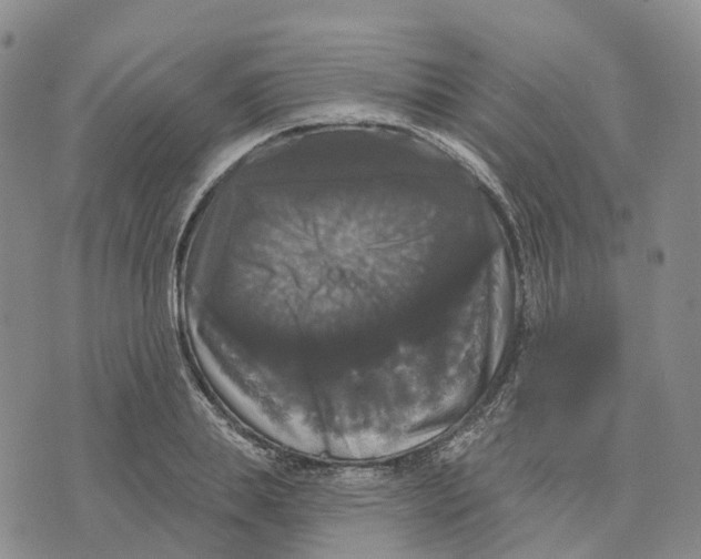 X0000070340839200606301739