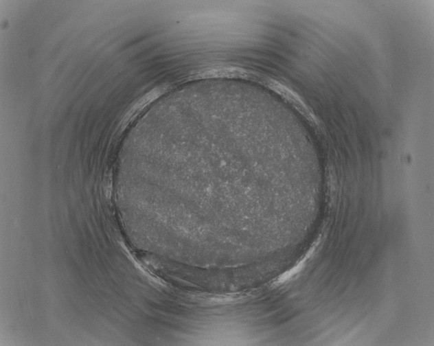 X0000070340841200606301739