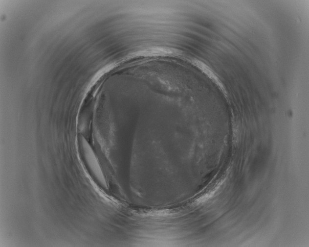 X0000070340845200606301739