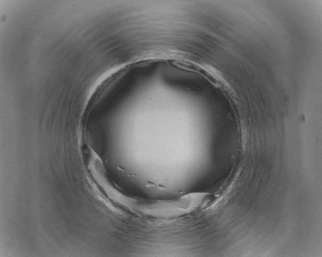 X0000070340846200606301739