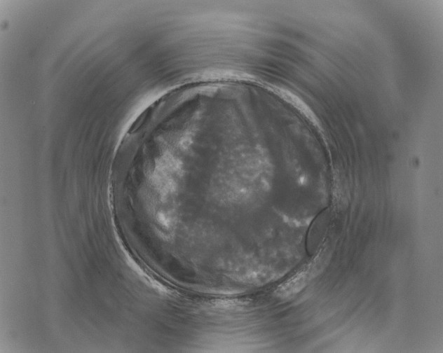 X0000070340847200606301739