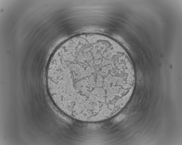 X0000070340848200606301739