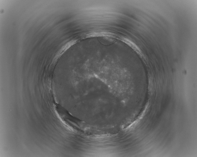 X0000070340849200606301739