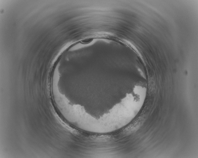 X0000070340851200606301739