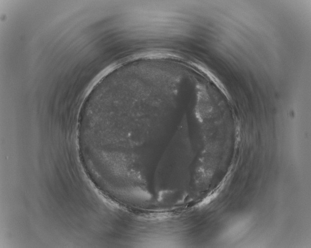 X0000070340853200606301739