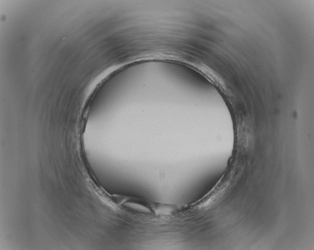 X0000070340854200606301739