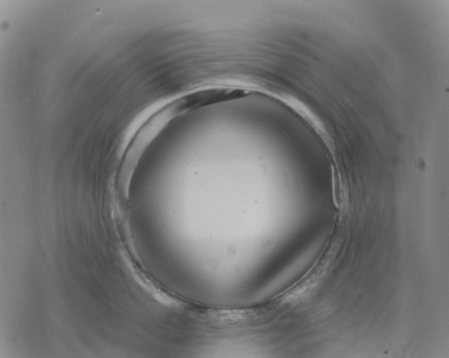 X0000070340862200606301739