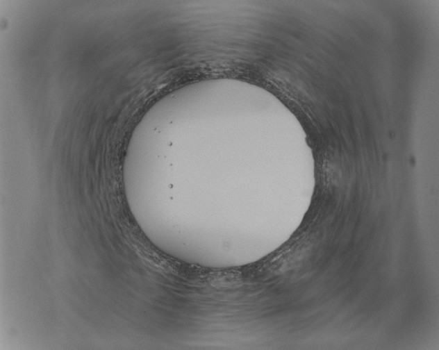 X0000070340865200606301738