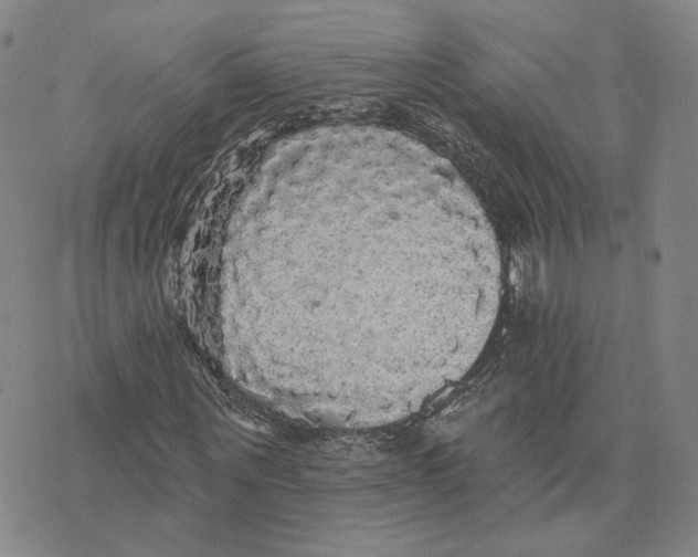 X0000070340867200606301738