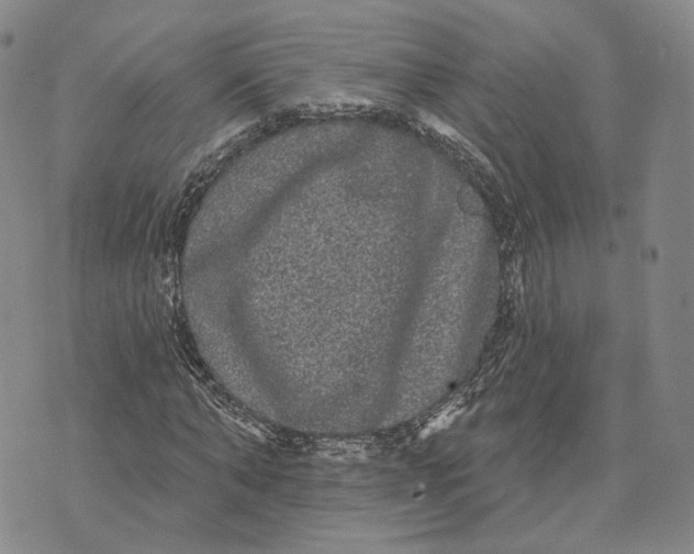 X0000070340870200606301738