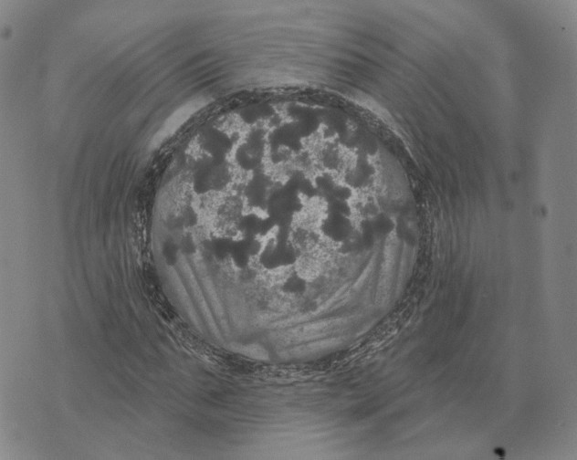 X0000070340871200606301738