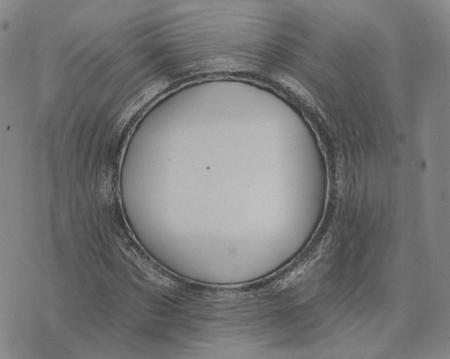 X0000070340873200606301738