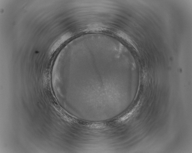 X0000070340874200606301738