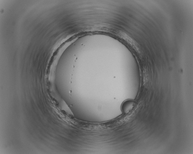 X0000070340876200606301738