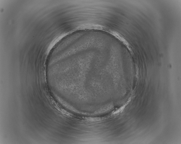 X0000070340877200606301738