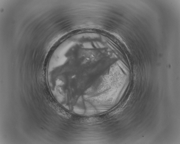 X0000070340879200606301738