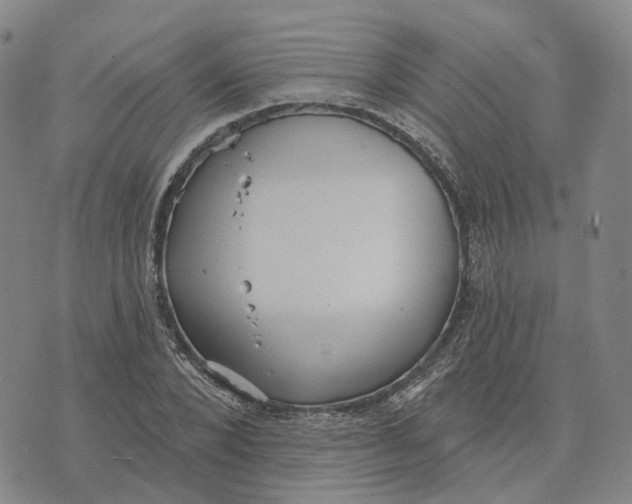 X0000070340880200606301738