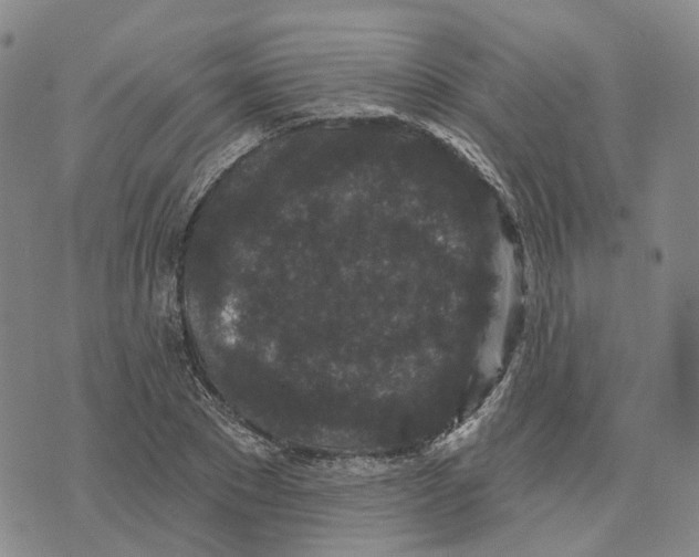 X0000070340881200606301738