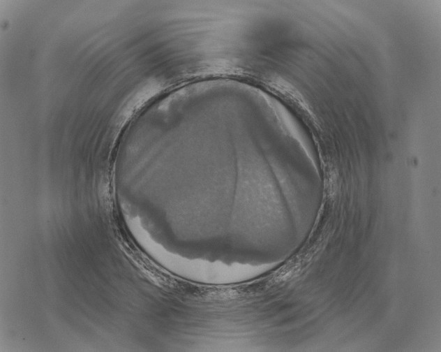 X0000070340882200606301738