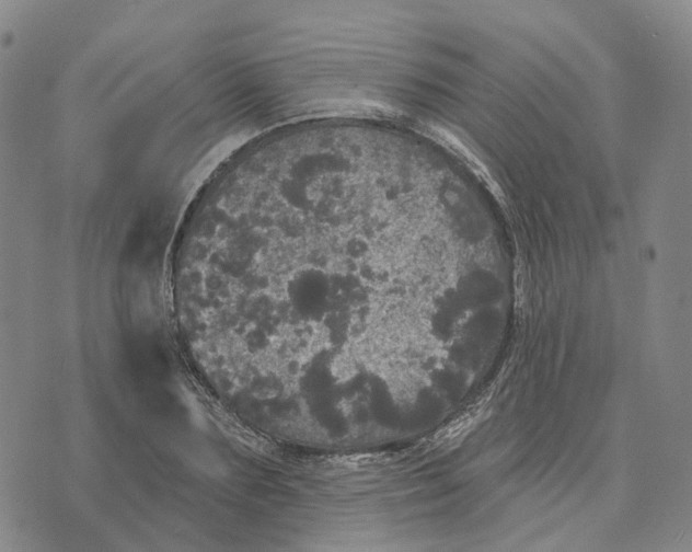 X0000070340883200606301738