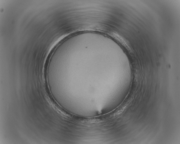 X0000070340884200606301738