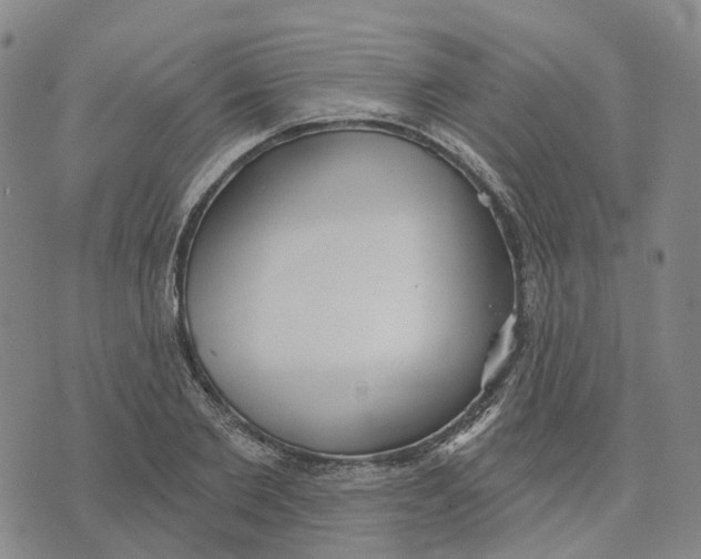 X0000070340885200606301738