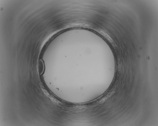 X0000070340888200606301738