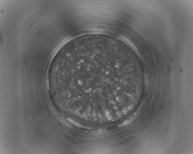 X0000070340891200606301738