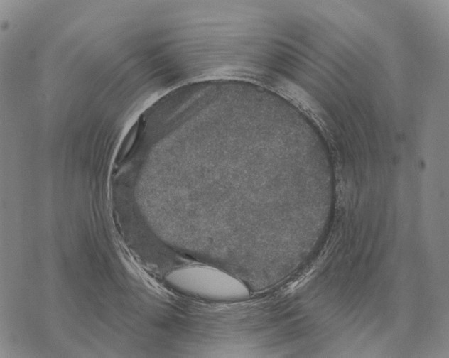 X0000070340892200606301738