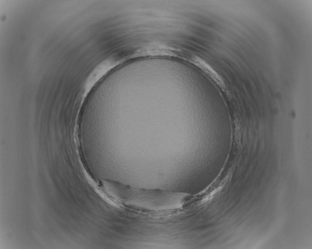 X0000070340893200606301738