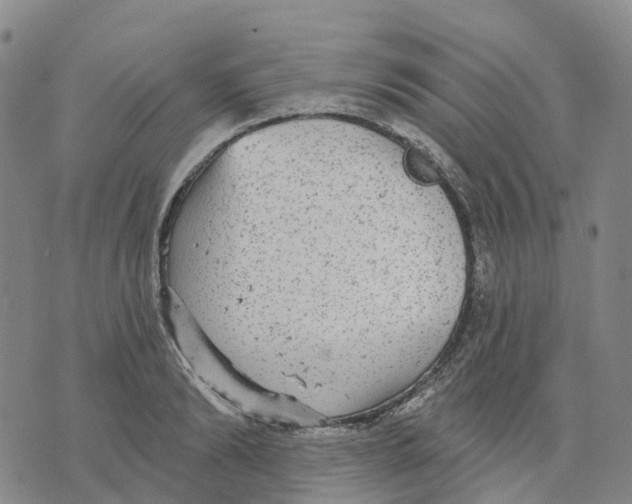 X0000070340894200606301738