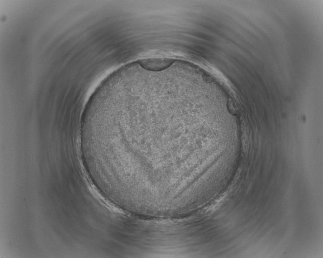 X0000070340896200606301738