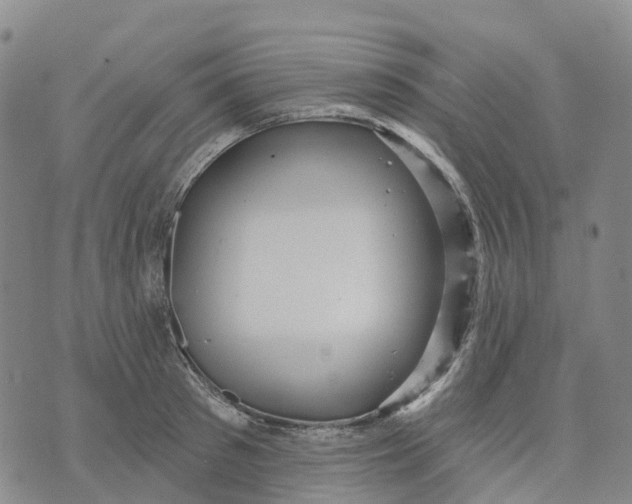 X0000070340897200606301738