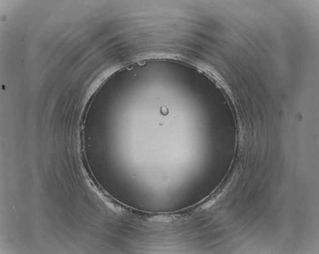 X0000070340898200606301738