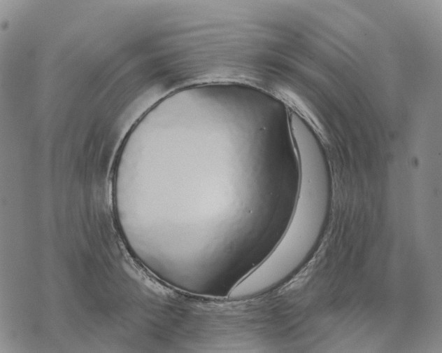 X0000070340900200606301738