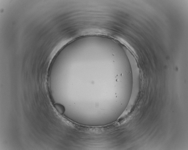 X0000070340901200606301738