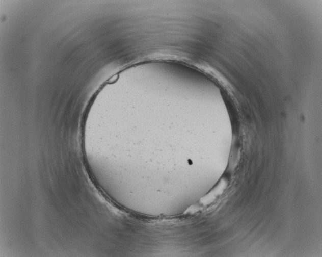 X0000070340902200606301738