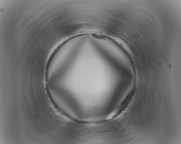 X0000070340904200606301738