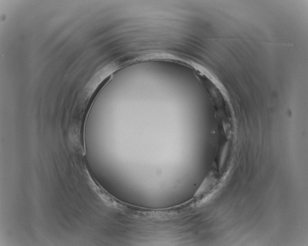 X0000070340905200606301738