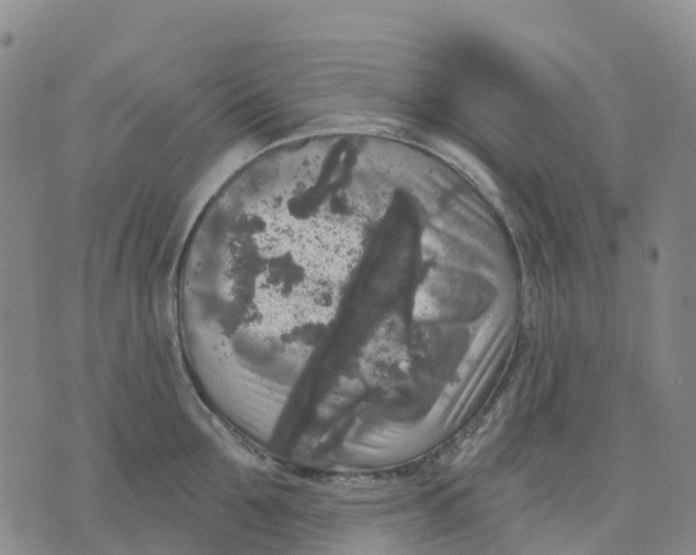 X0000070340907200606301738