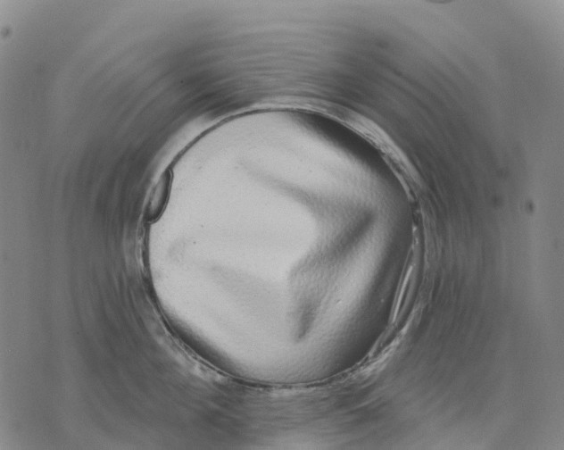 X0000070340908200606301737