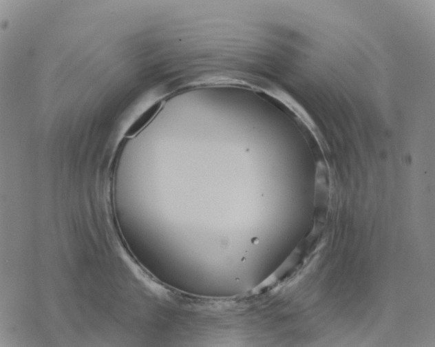 X0000070340909200606301737